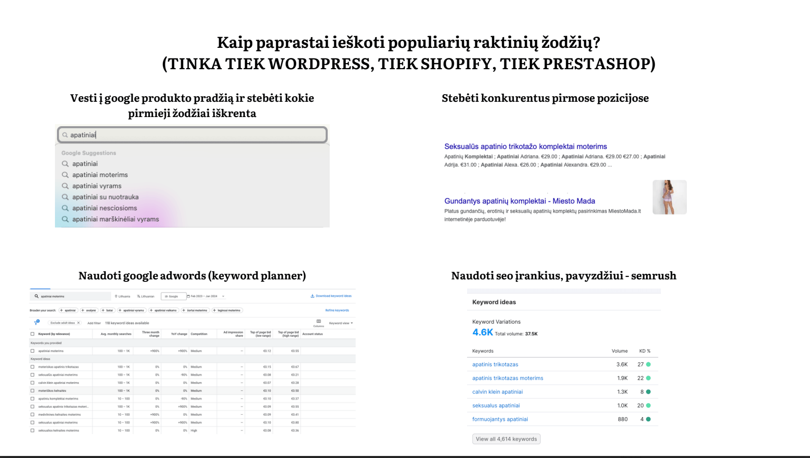 Bazinis SEO pradžiamokslis - Susikuriau.lt