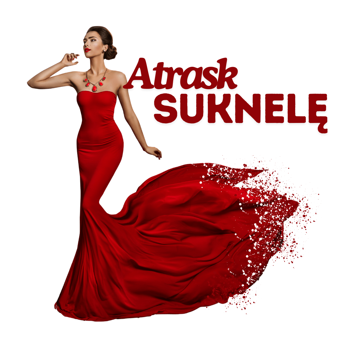 CANVA kursas | Video formatu - Susikuriau.lt