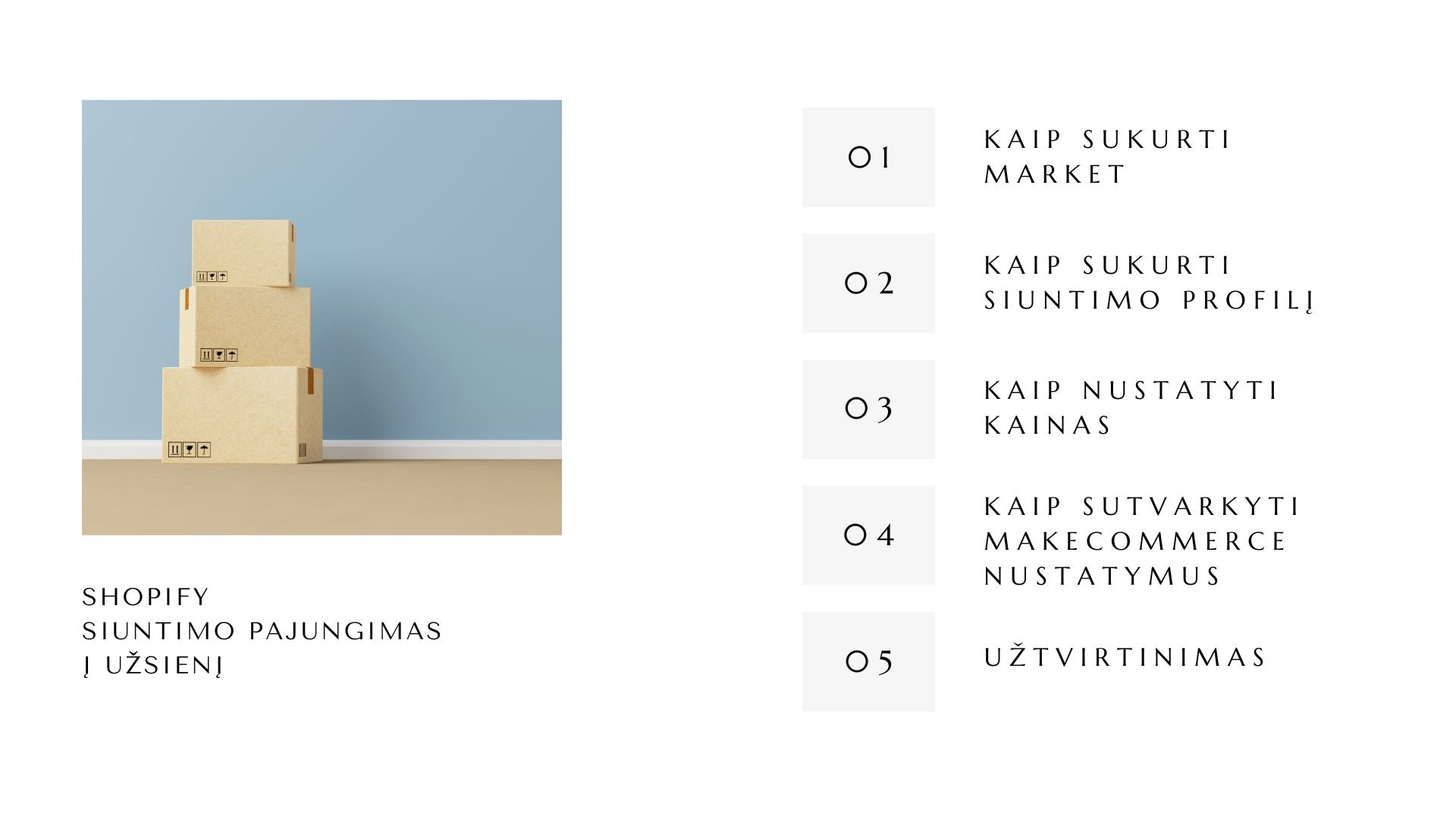 Gidas, kaip pajungti siuntimą į užsienį per shopify - Susikuriau.lt